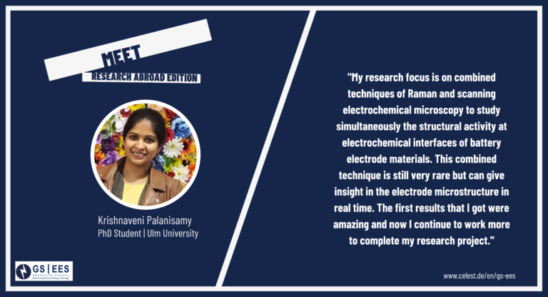 Research Stay Abroad: Deepening knowledge in SECM and spectroscopy